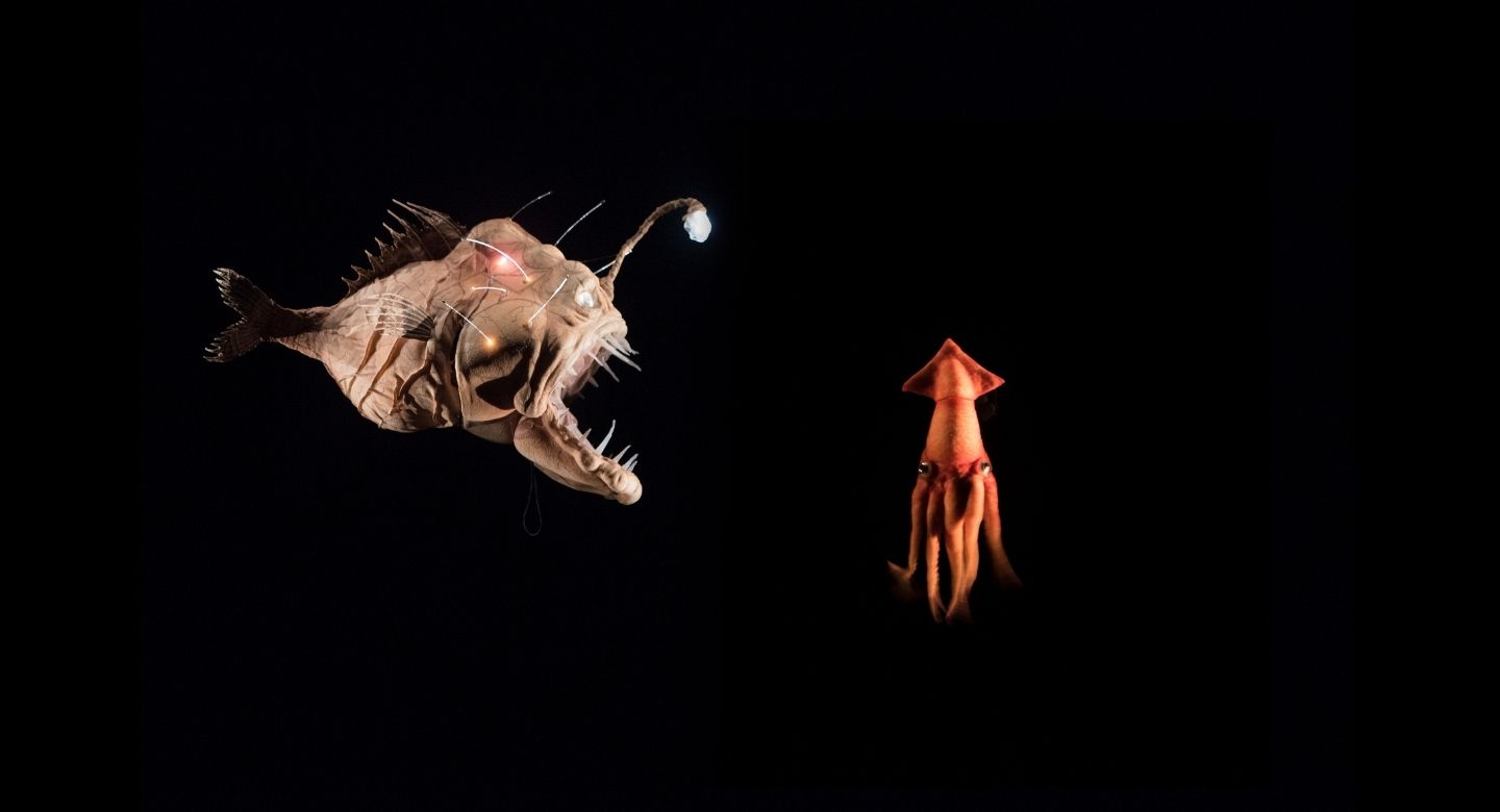 20 000 lieues sous les mers 